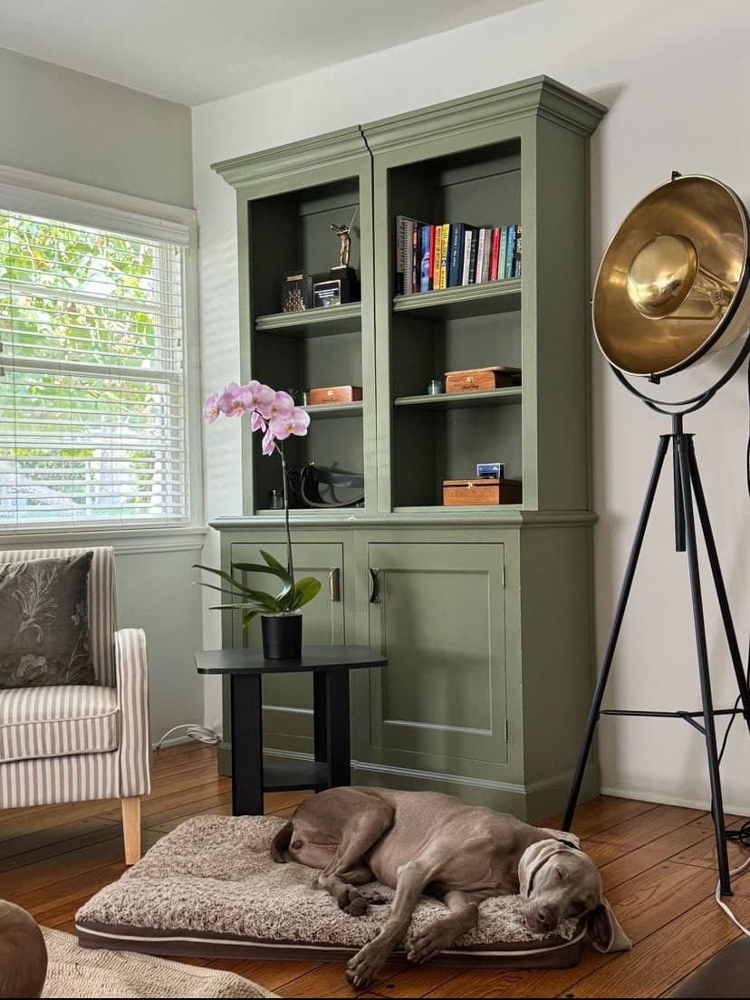 Gallery photos for Prepping Cozy Spaces for Comfortable Living: Image #5