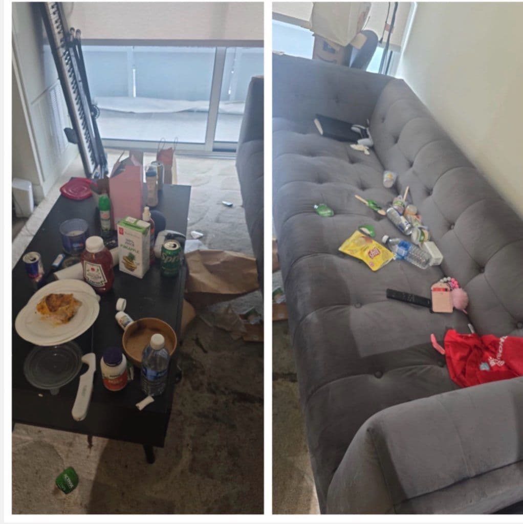 Gallery photos for From Chaos to Calm - Expert Deep Cleaning Service: Image #1