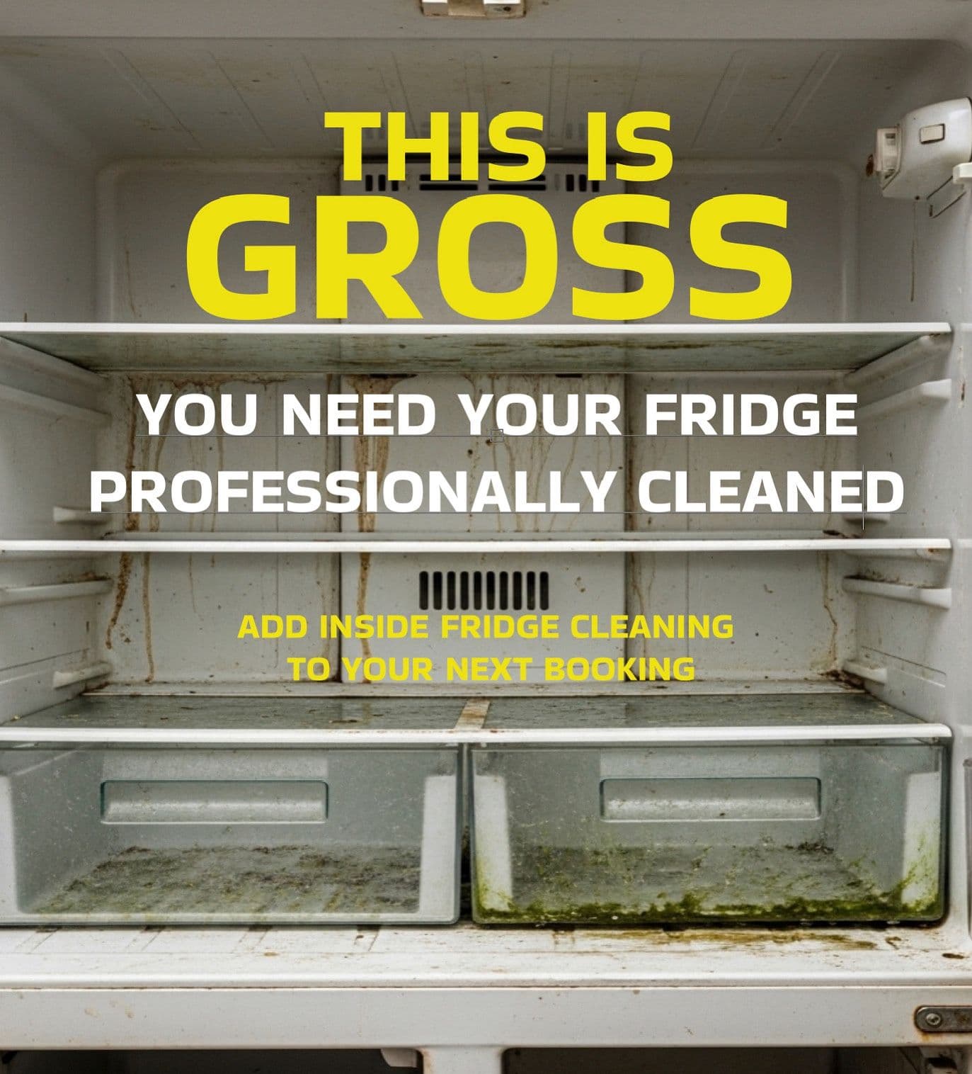Transform Your Fridge with Professional Cleaning image
