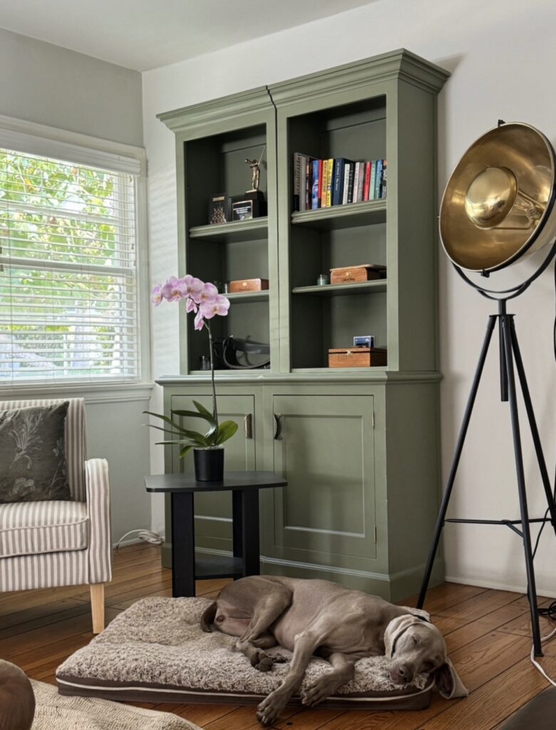 Comfort of a professionally cleaned home in Toronto with bright and spotless living space